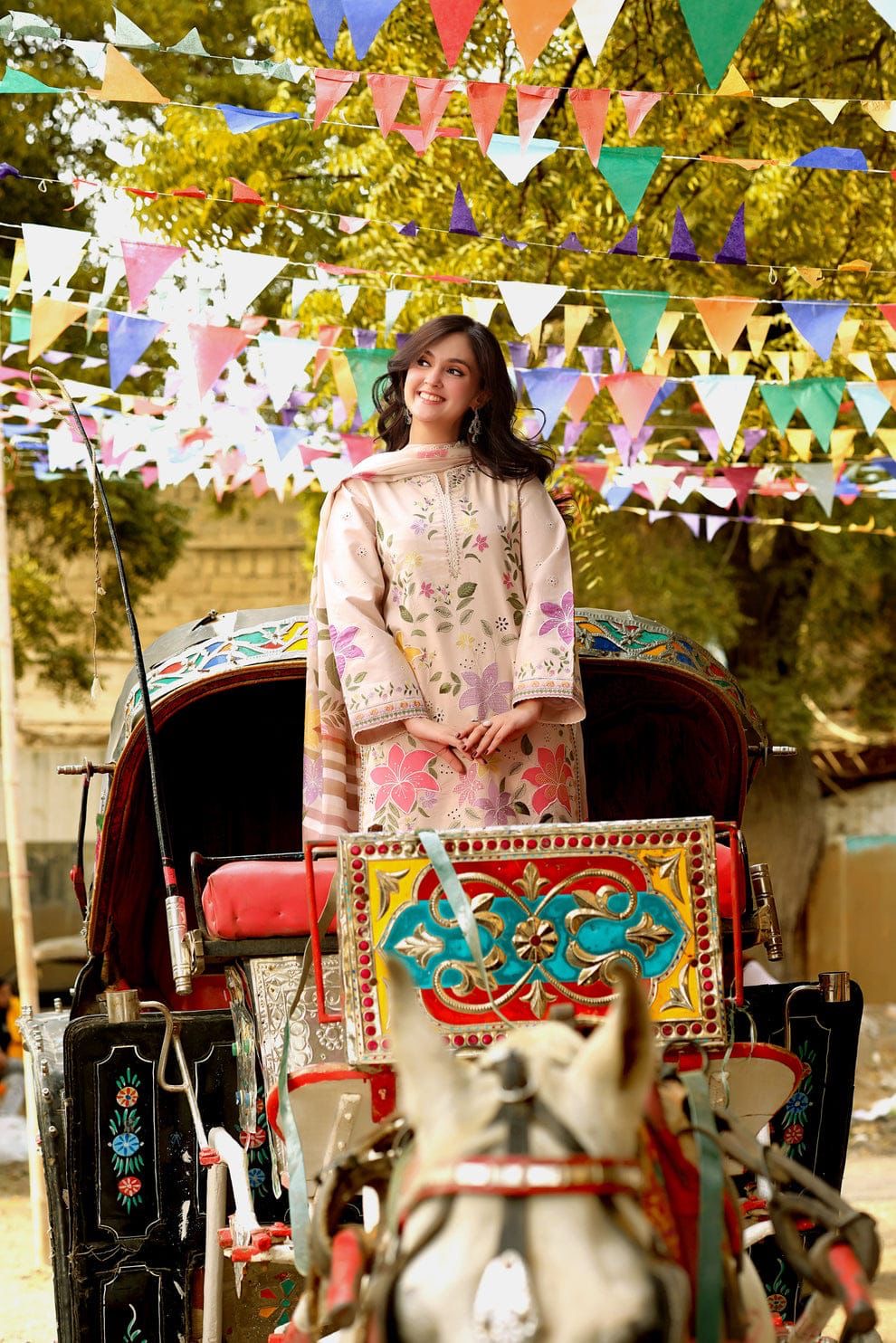 Aneela’s Lawn  (5066 )